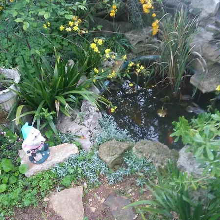 Apartman Sunny Day Rovinj