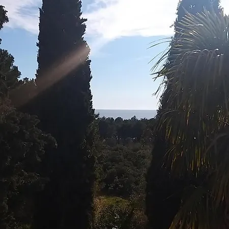 Sunny Day Апартаменты